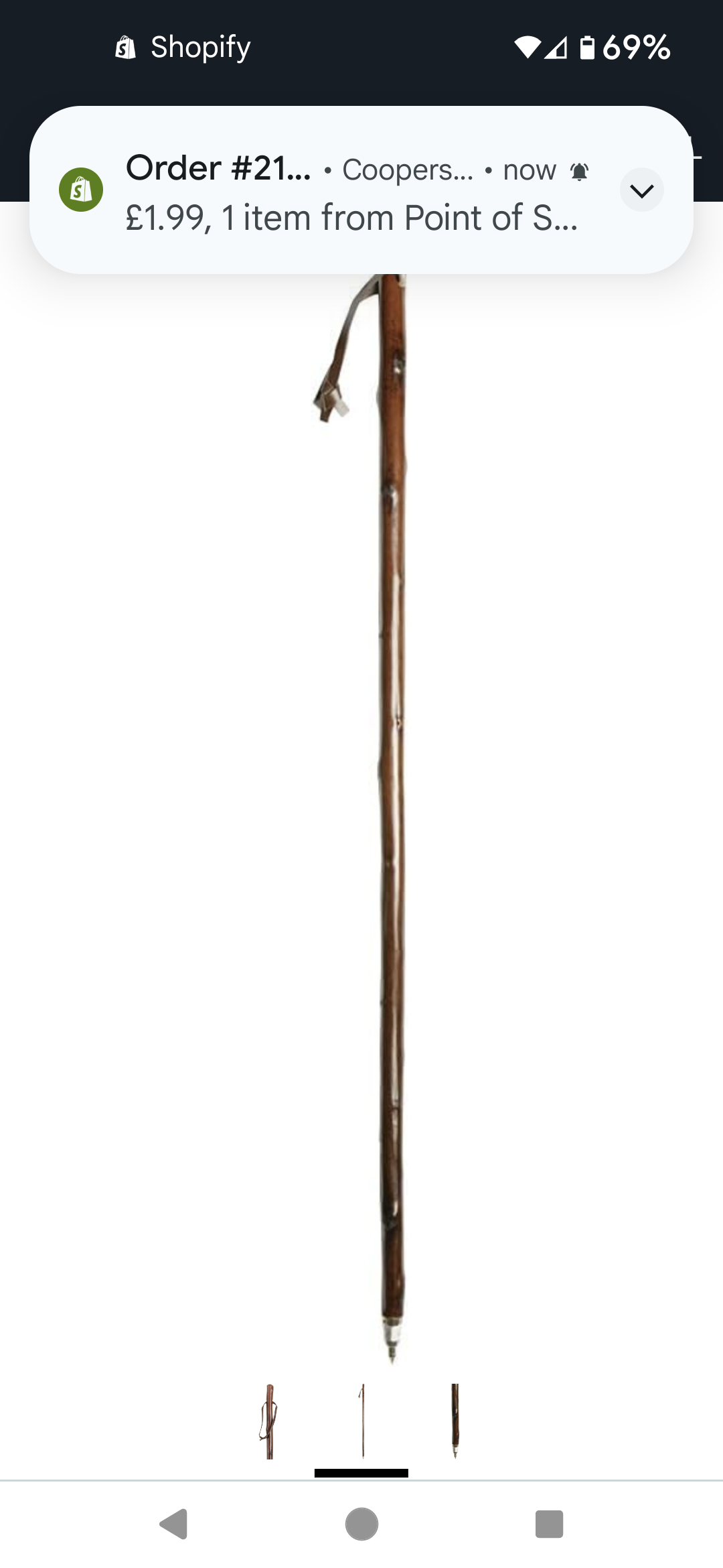 Chestnut Hiking Stick with Spike Ferrule