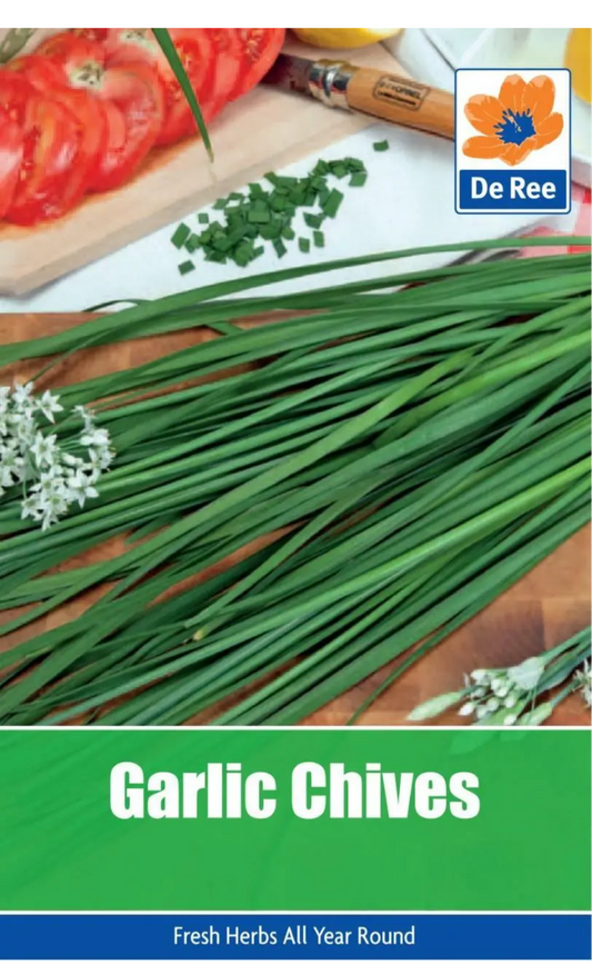 De Ree SACHET de CIBOULETTE AIL 40 Graines de jardin d'herbes aromatiques