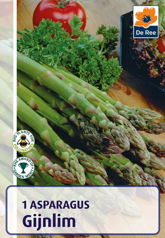 De Ree 1 Asperge Gijnlim
