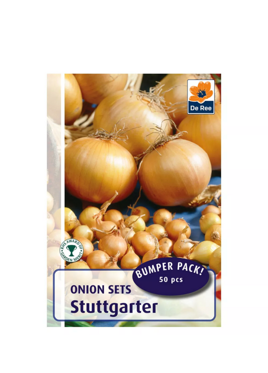 De Ree 50 x Bulbilles d'oignon « Stuttgarter ».