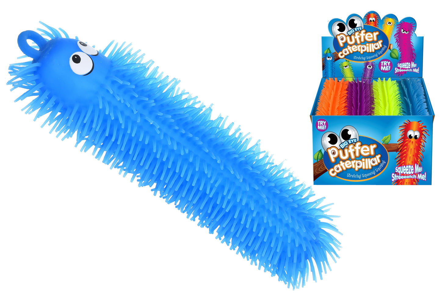 Procurez-vous votre chenille bicolore de 32 cm dans sa boîte d'exposition dès aujourd'hui