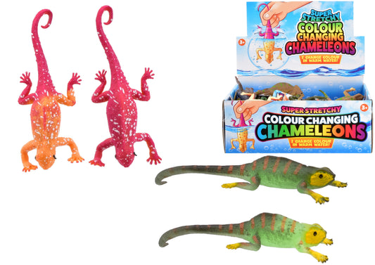 Discover Color-Changing Lizards for Unique Encounters