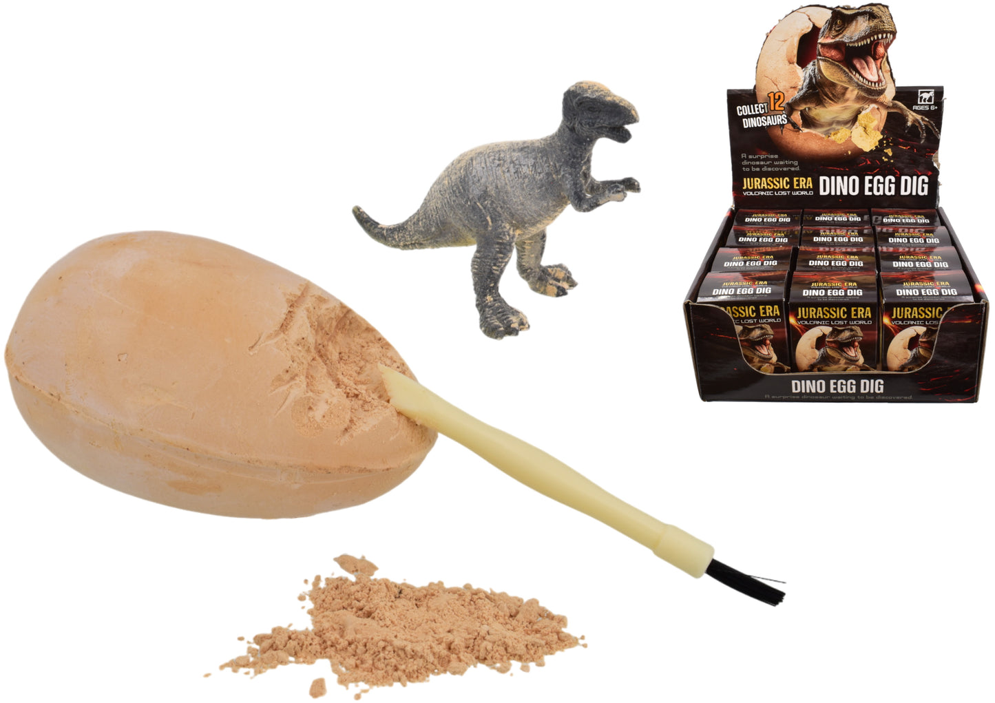 Creusez les Dinosaures : Découvrez la fascination avec une boîte à colorier et à exposer