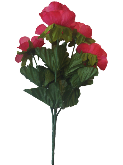 POPPY BUSH