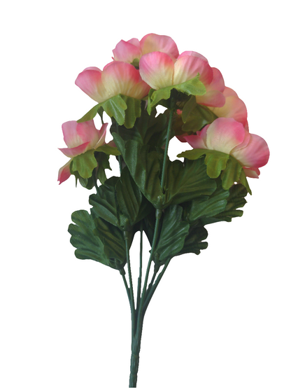 POPPY BUSH