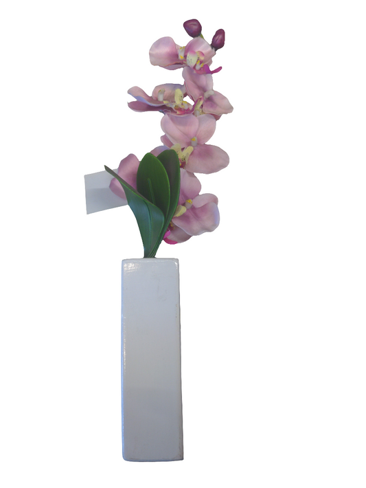 Orchidée dans un vase crème