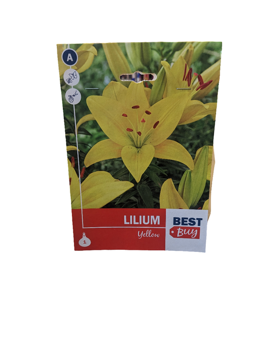 De Ree lis jaune