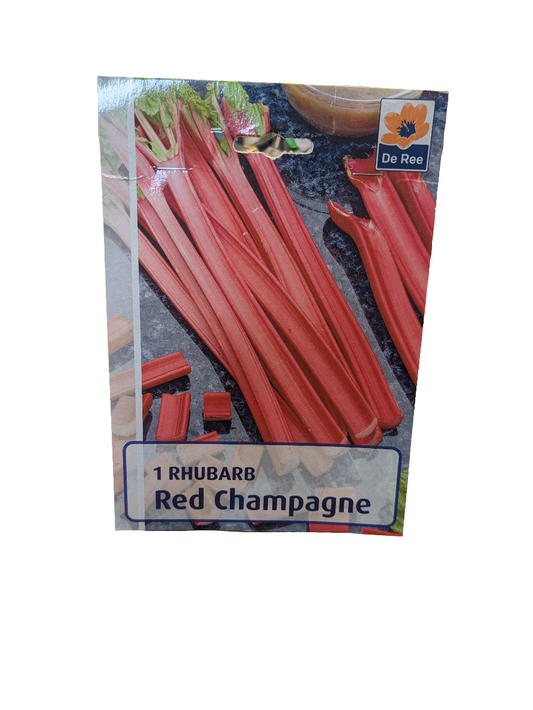 De Ree 1 Rhubarbe Rouge Champagne