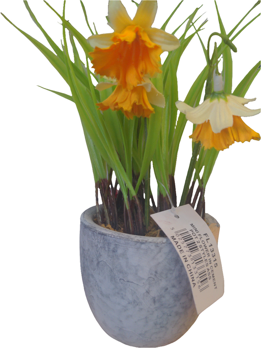 Mini pot de fleurs en ciment