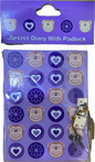 SECRET DIARY WITH PADLOCK