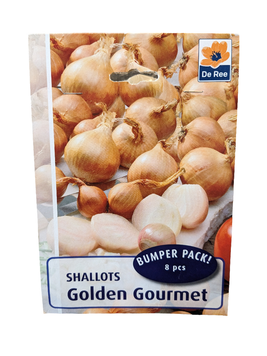 De Ree Bumper 8 Pack Échalotes Golden Gourmet