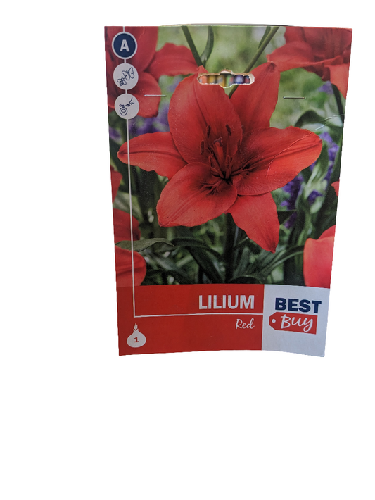 De Ree Lilium Rouge