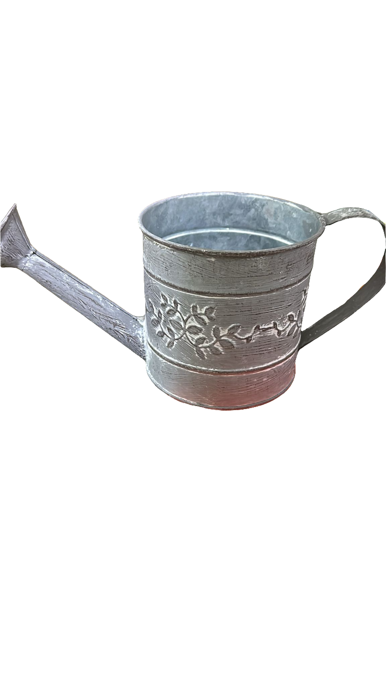 Metal  Plant Watering Can