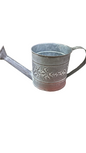 Metal  Plant Watering Can