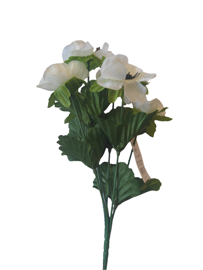 POPPY BUSH