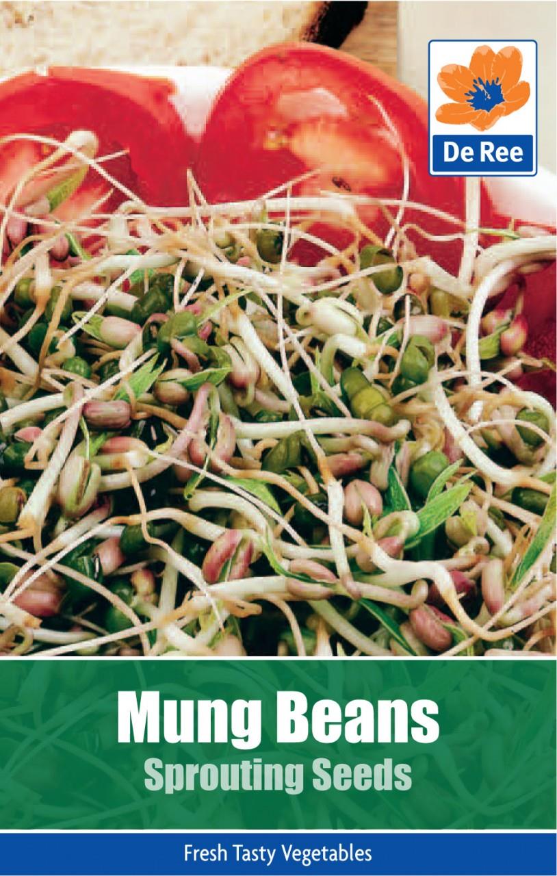 HARICOTS MUNG - GRAINES À GERMER