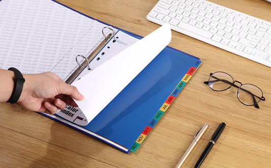 12 Punched Month Dividers