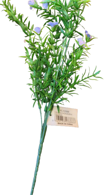 Carnation rose bush colssas