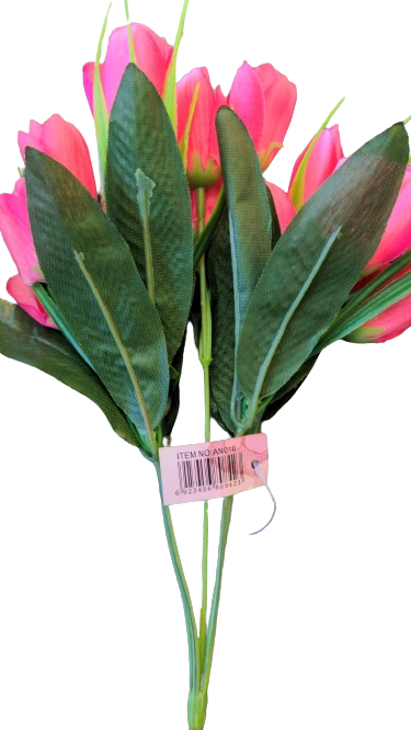 Rosier Gerbera Colossas