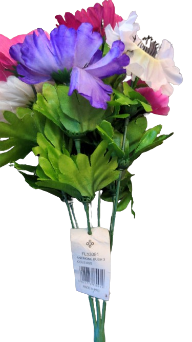 Anemone rose bush colssas