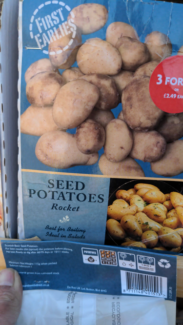 De Ree Seed Potatoes Rocket