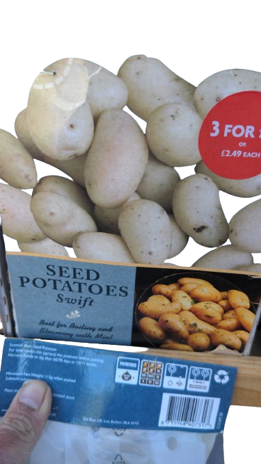 Pommes de terre de semence De Ree Swift