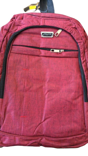 Backpack for school & practical