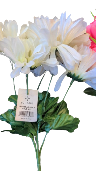 Gerbera rose bush 3 col Assorted