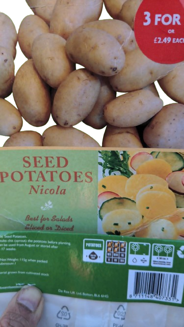 De Ree Seed Potatoes Nicola