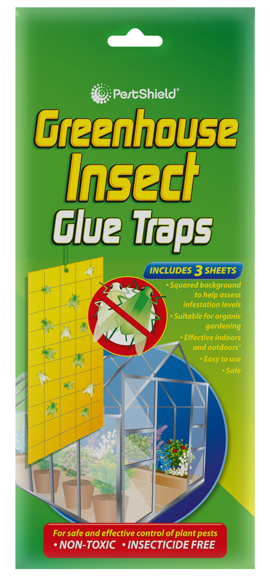 Attrape-mouches pour serre, lot de 3