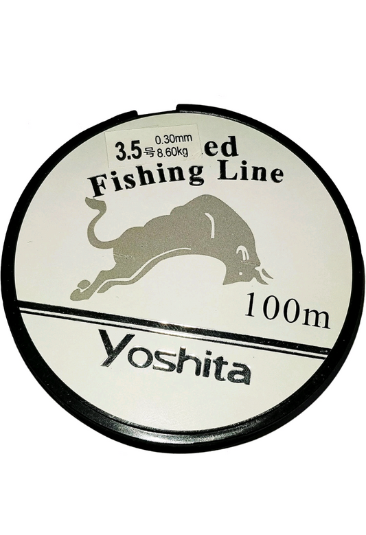 100 Metres Fishing Line Reel Clear Wire Cord String Line 0.3mm