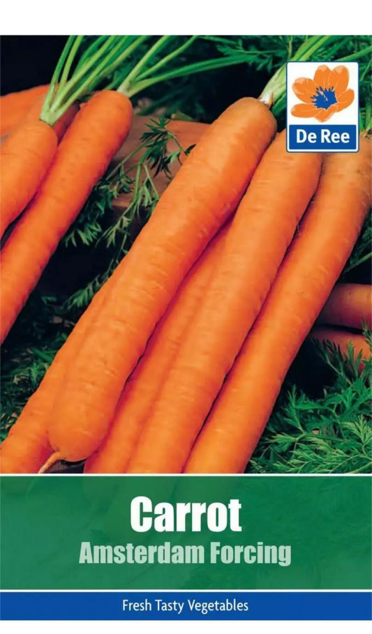 De Ree SACHET de CAROTTE Amsterdam Forcing 365 GRAINES potagères