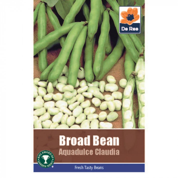 De Ree Broad Bean Aquadulce Claudia Seeds