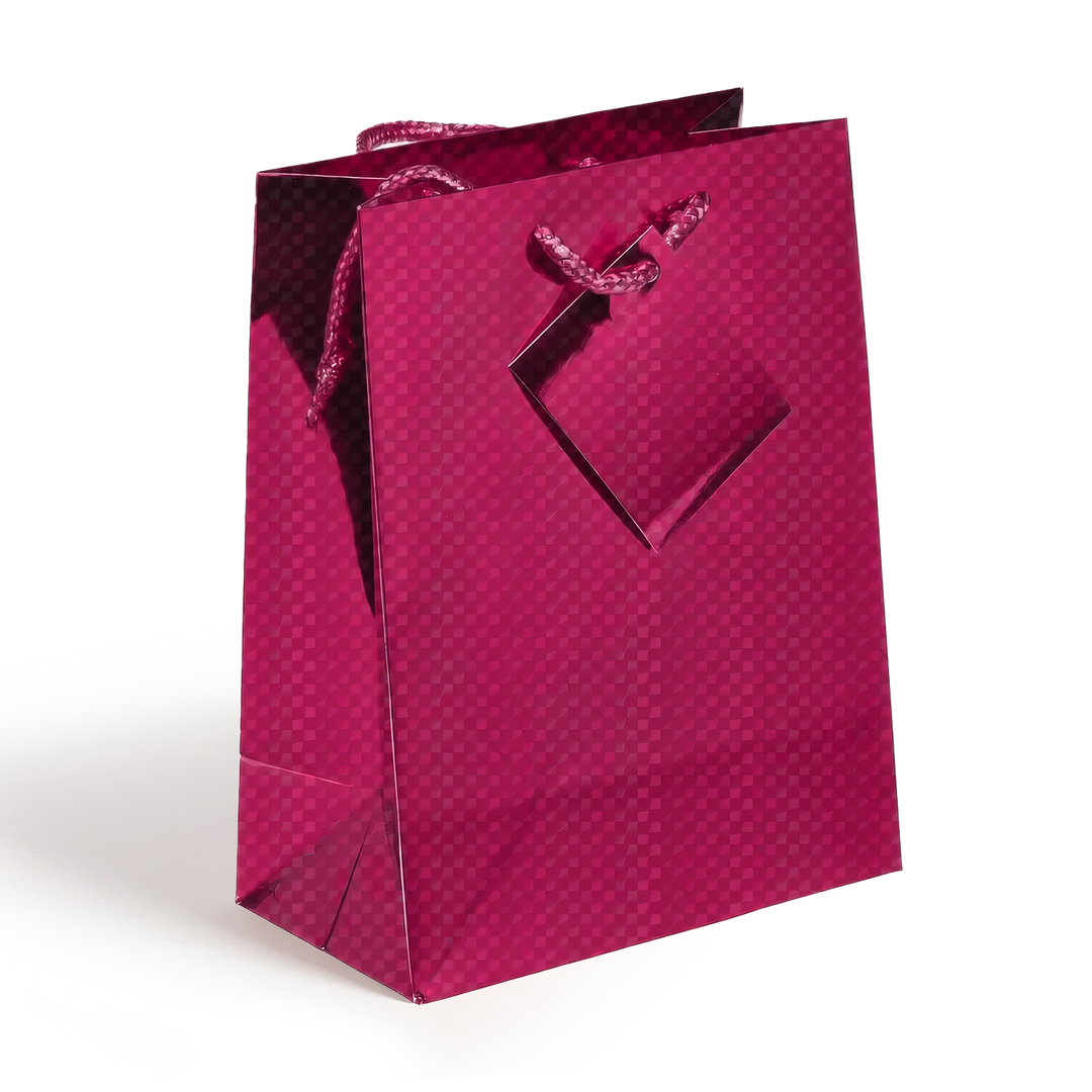 Medium Holographic Gift Bags with Handles  Assorted colors