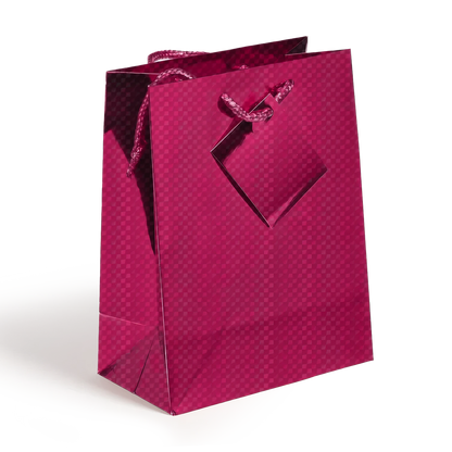 Medium Holographic Gift Bags with Handles  Assorted colors