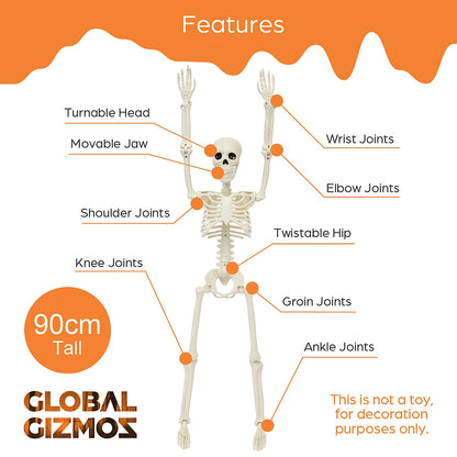 Global Gizmos 90cm Posable Halloween Skeleton