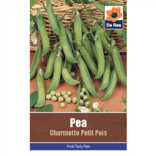 Graines de petits pois De Ree Charmette