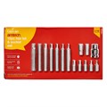 Amtech 15 Piece Hex bit and socket set