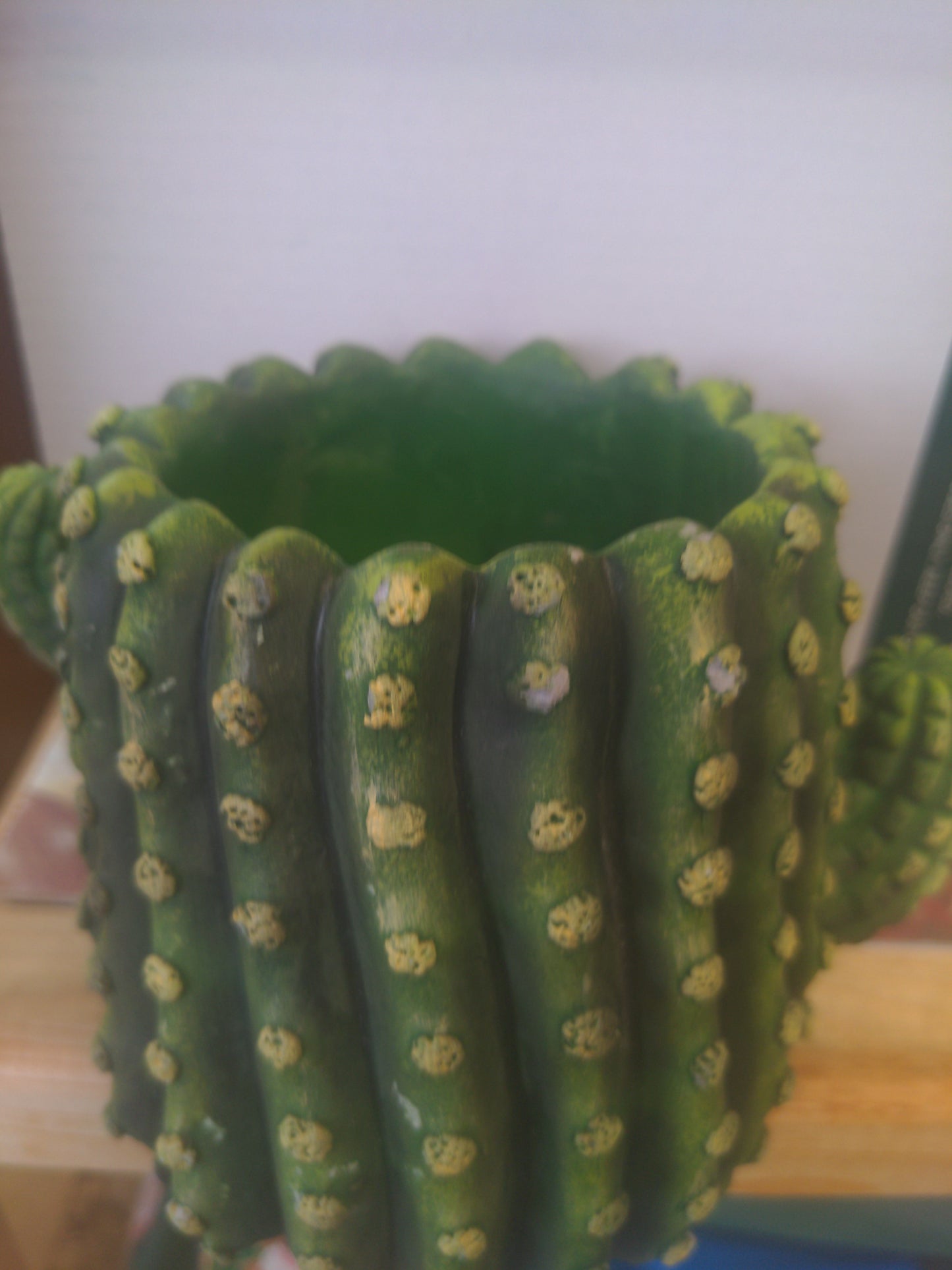 Cactus pot de fleurs