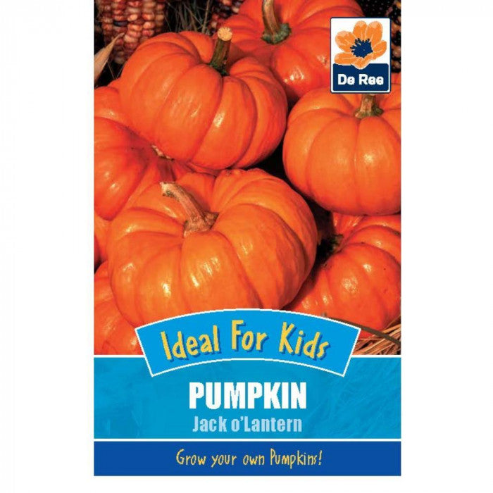 De Ree (Enfants) Graines de citrouille Jack O'Lantern