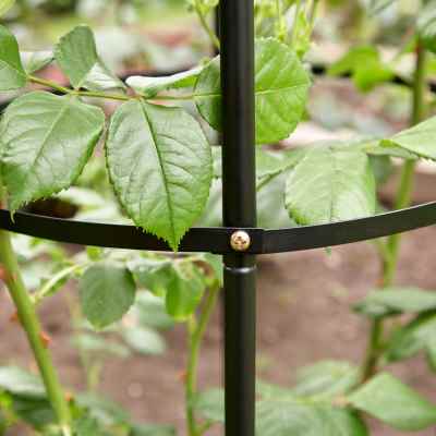 Kingfisher Garden ObeliskGarden Obelisk. Black