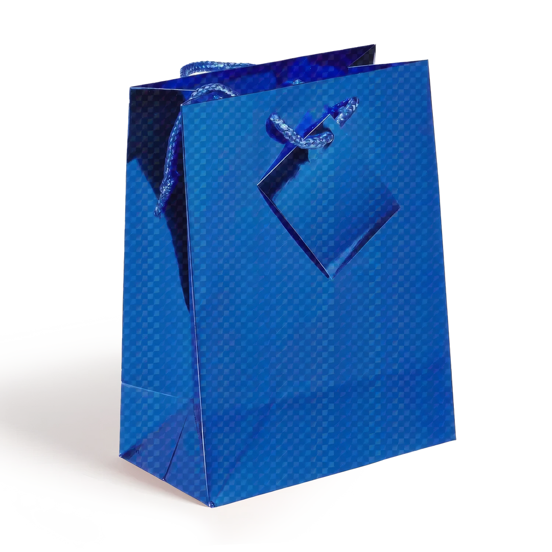 Medium Holographic Gift Bags with Handles  Assorted colors