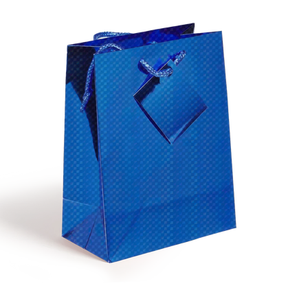 Medium Holographic Gift Bags with Handles  Assorted colors