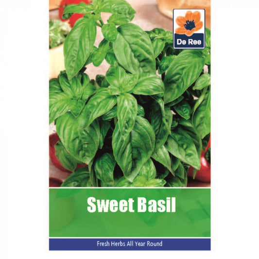 De Ree Graines de Basilic Sucré