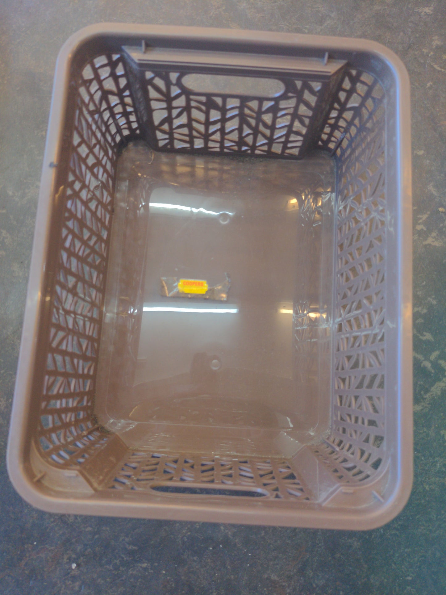 BranQ Basket