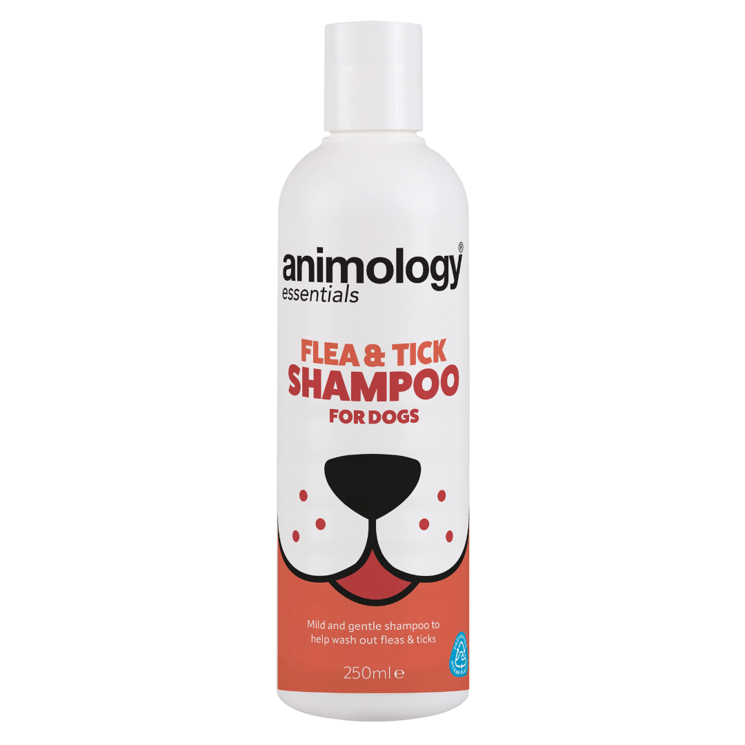 ANIMOLOGY ESSENT 250ML SHAMPOO FLEA & TICK