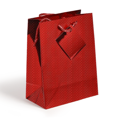 Medium Holographic Gift Bags with Handles  Assorted colors