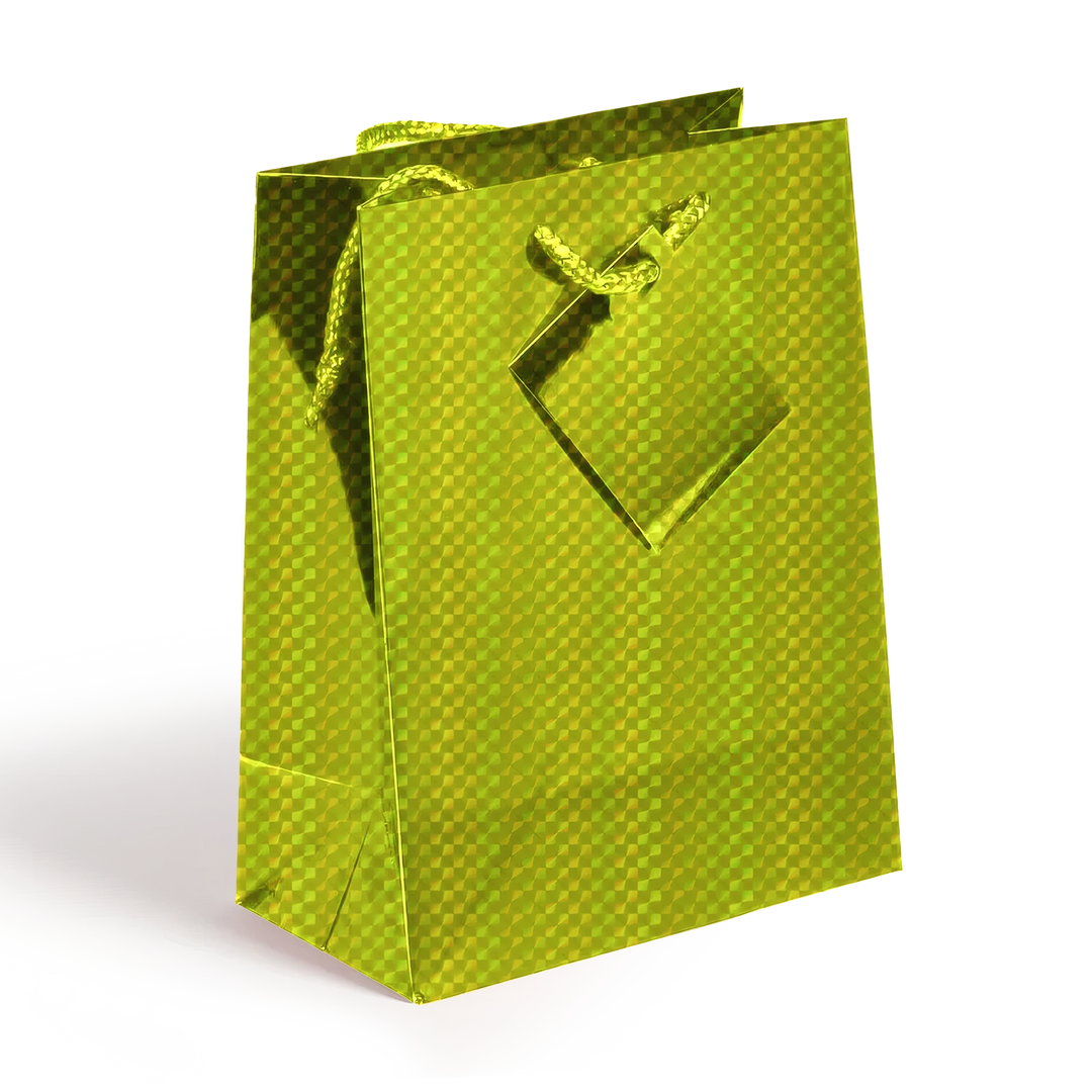 Medium Holographic Gift Bags with Handles  Assorted colors