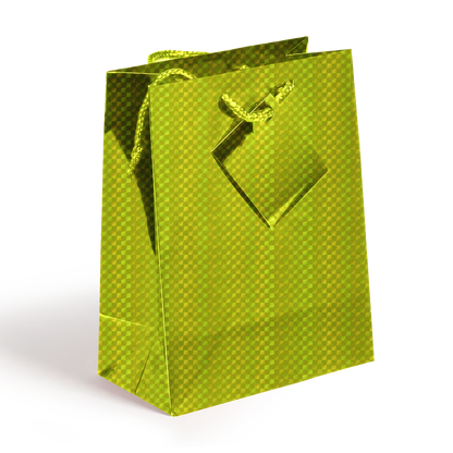 Medium Holographic Gift Bags with Handles  Assorted colors