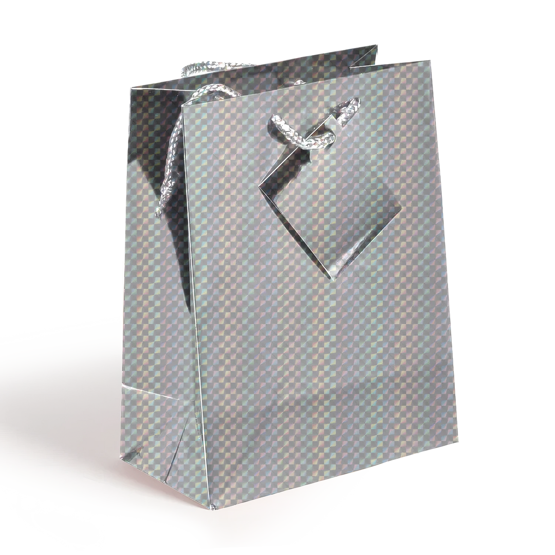 Medium Holographic Gift Bags with Handles  Assorted colors